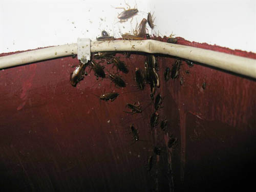 ��(chu��ng)�l(w��i)������˾��(sh��)�ؙz�鿱�y�F(xi��n)��