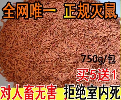 ��ЧС��ˎ����ˎ ���]